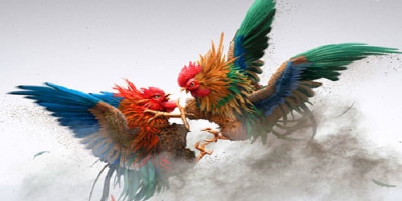 Tác hại khi sử dụng thuốc bịp sai cách